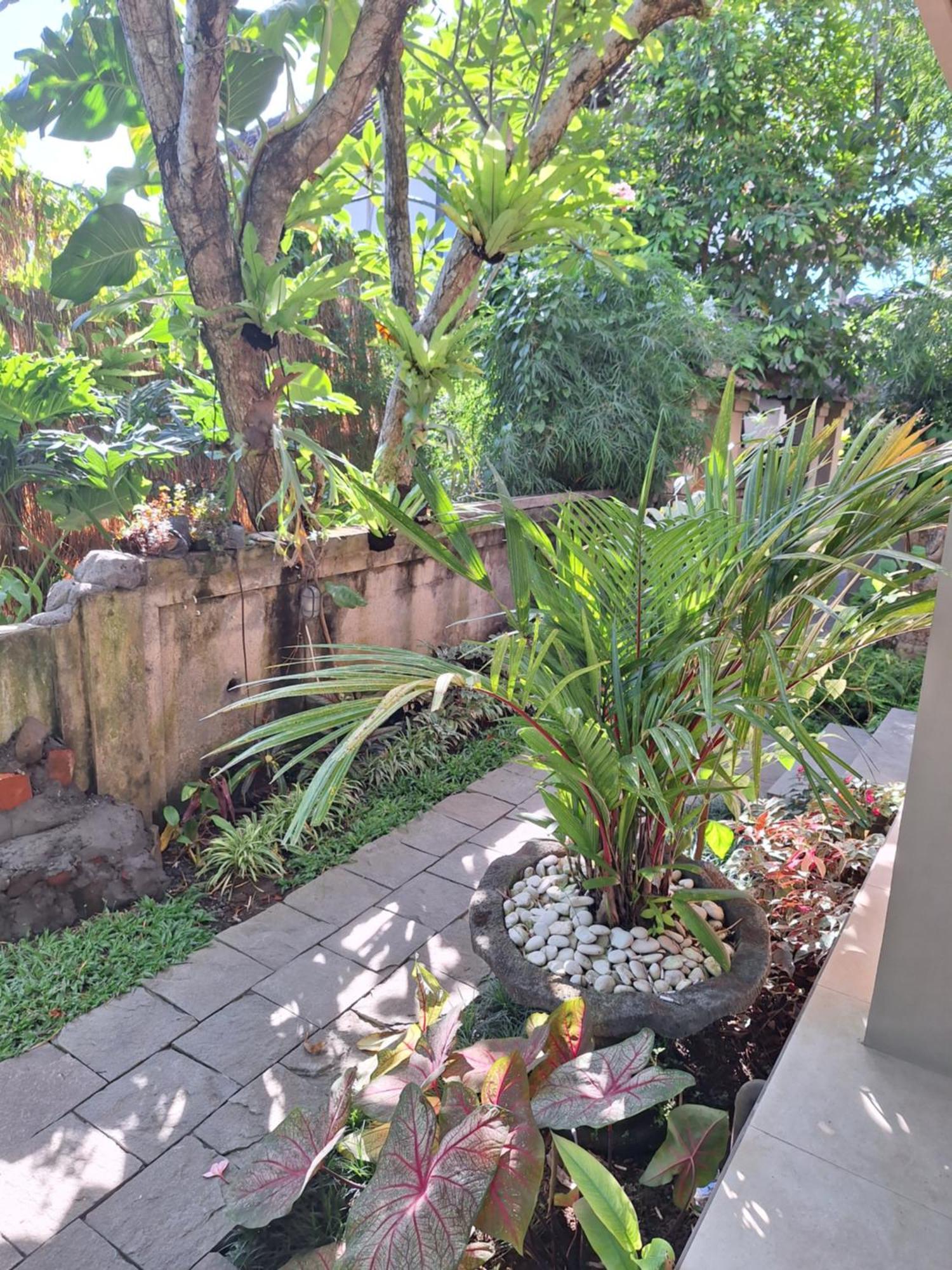 Kasapa Inn Ubud  Luaran gambar