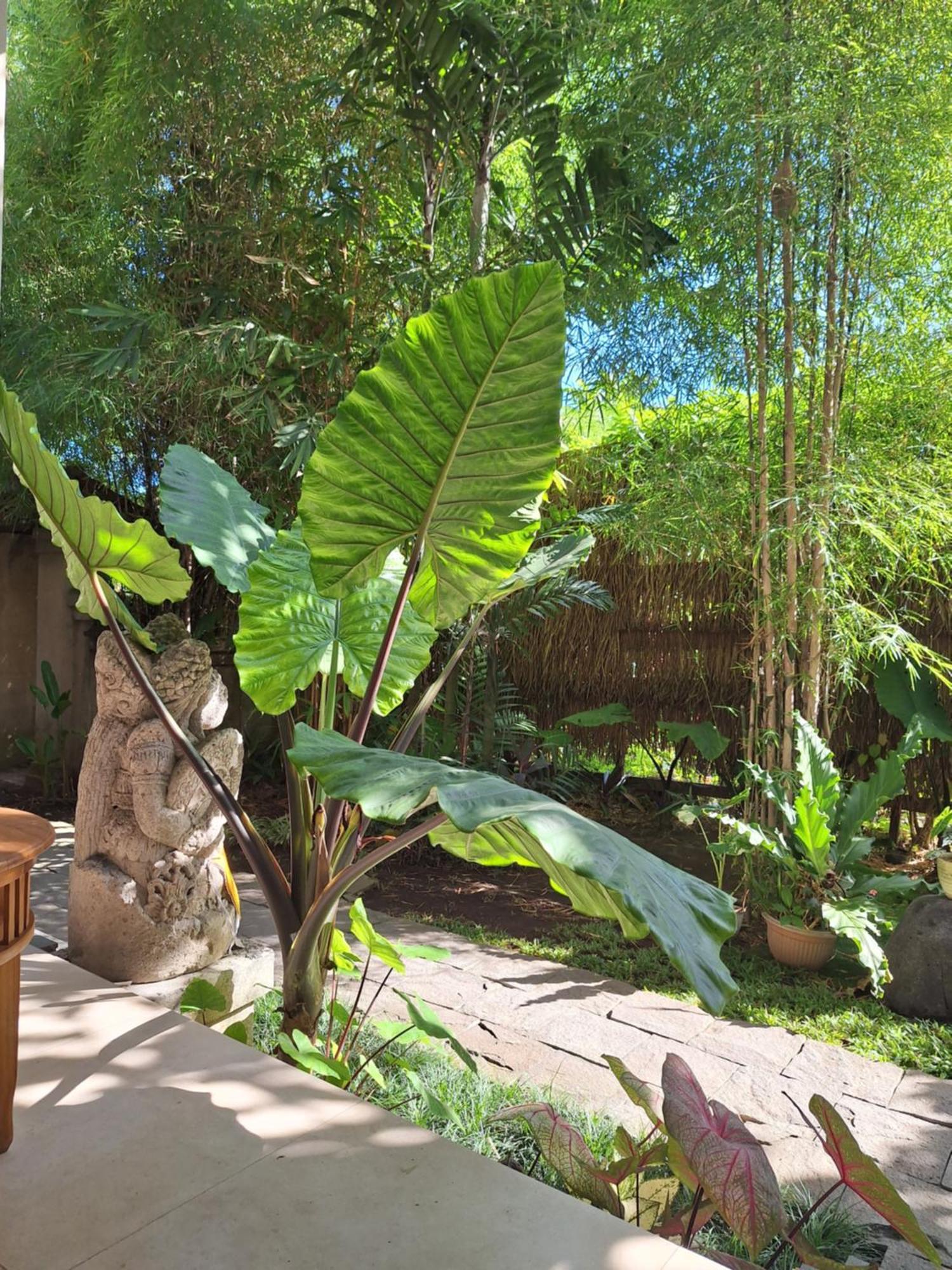 Kasapa Inn Ubud  Luaran gambar