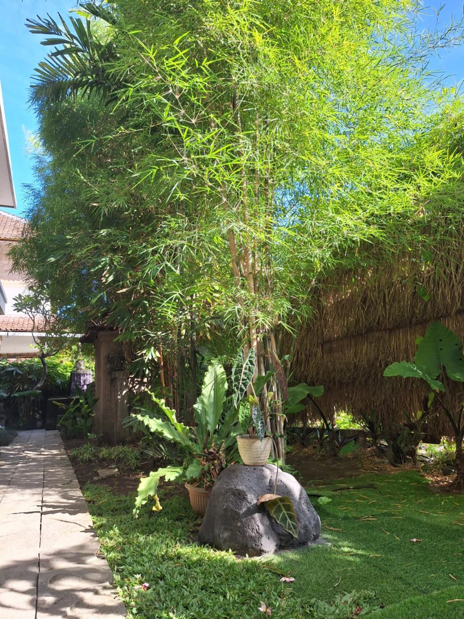 Kasapa Inn Ubud  Luaran gambar